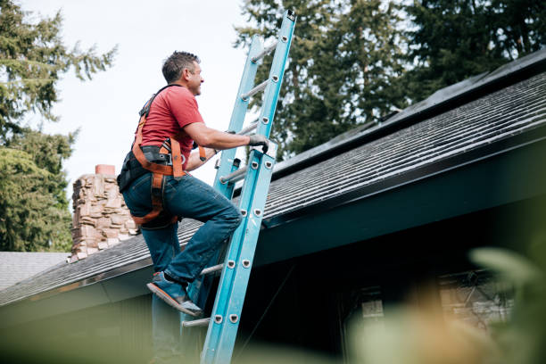 Best Roof Moss and Algae Removal  in Tarboro, NC